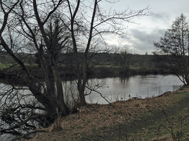 8e962-ducksatdusk_aire_edit