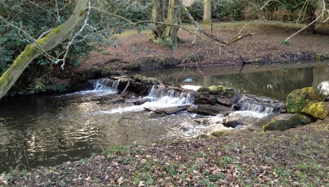 dcc4b-menewoodbeck_crop